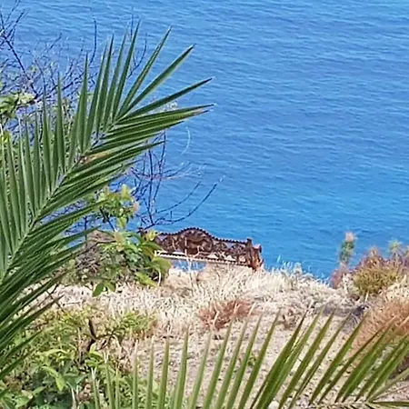 Casa Datilera